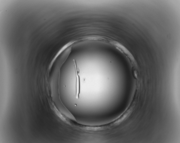 X0000086260860200704051301