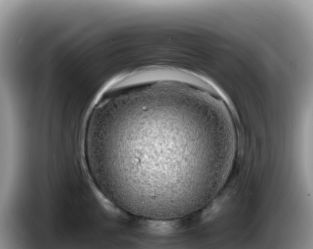 X0000086260861200704051301