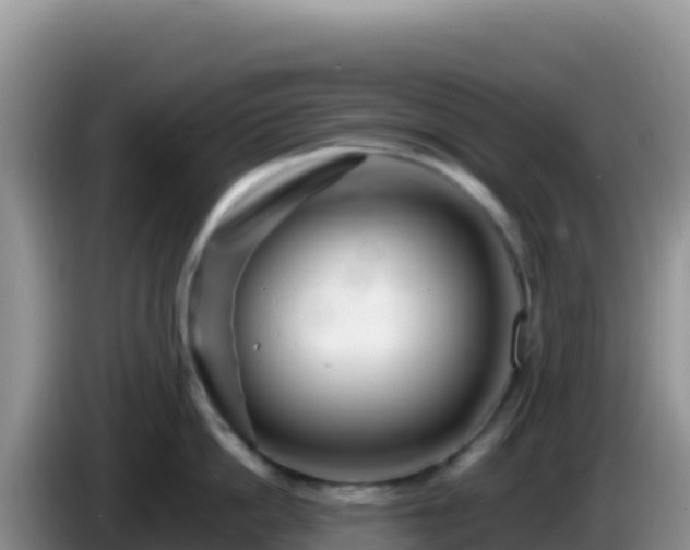 X0000086260862200704051301
