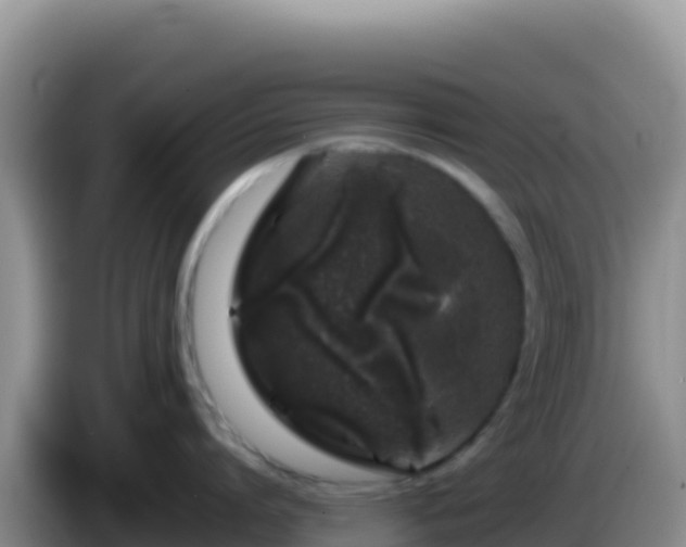 X0000086260864200704051301
