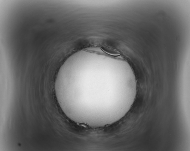 X0000086260865200704051300