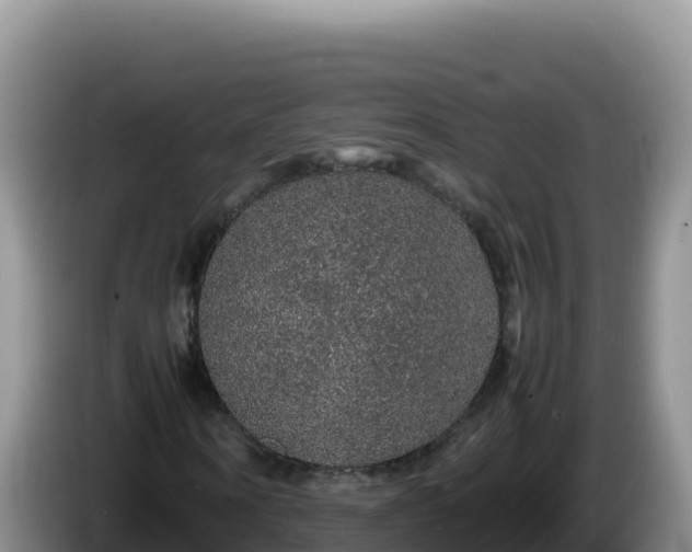 X0000086260866200704051300