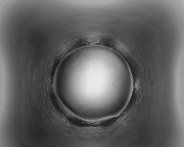 X0000086260867200704051300