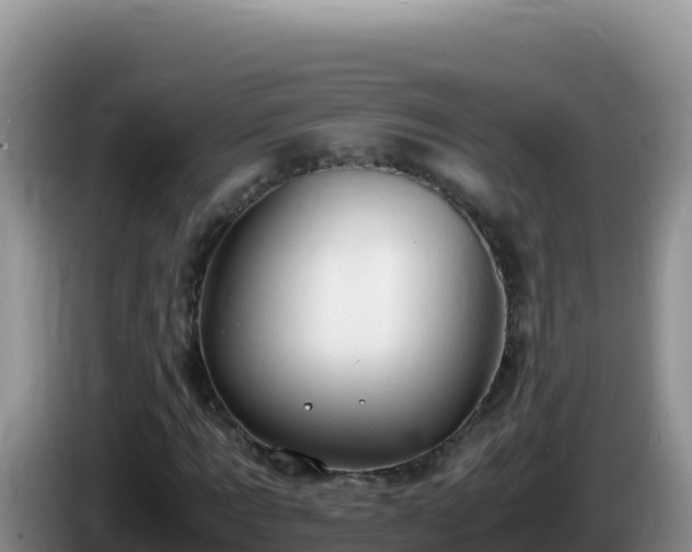 X0000086260869200704051300