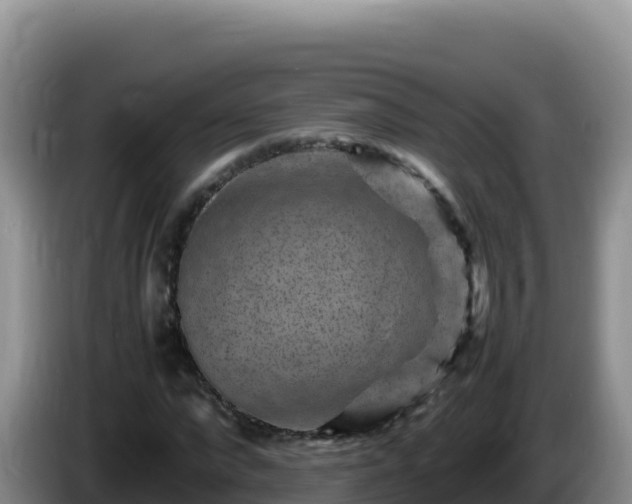 X0000086260872200704051300