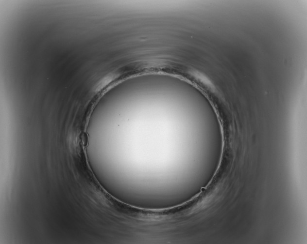 X0000086260873200704051300