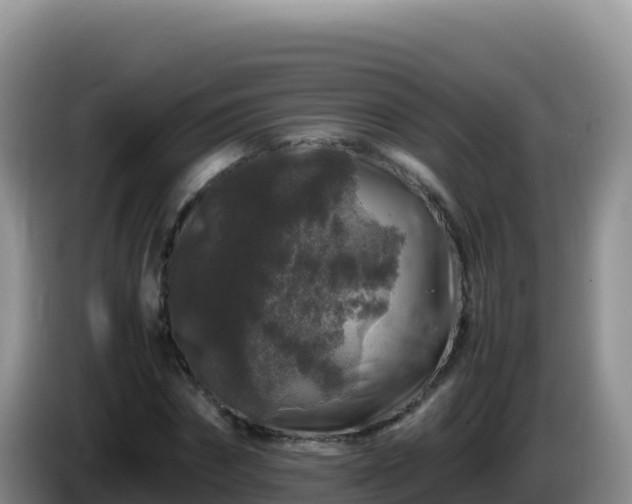 X0000086260874200704051300