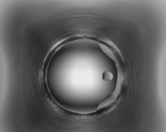 X0000086260876200704051300