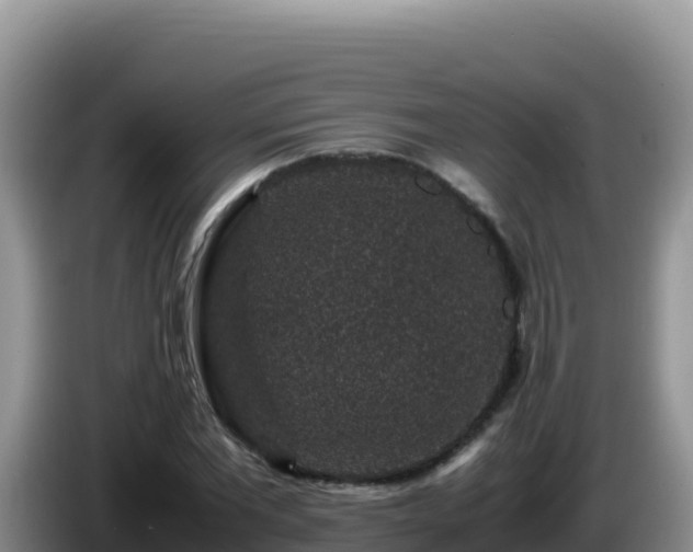X0000086260877200704051300