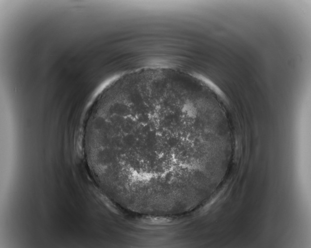 X0000086260878200704051300