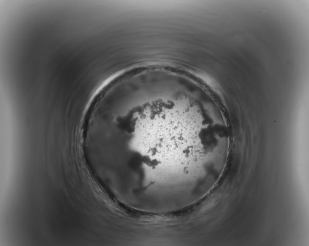 X0000086260879200704051300