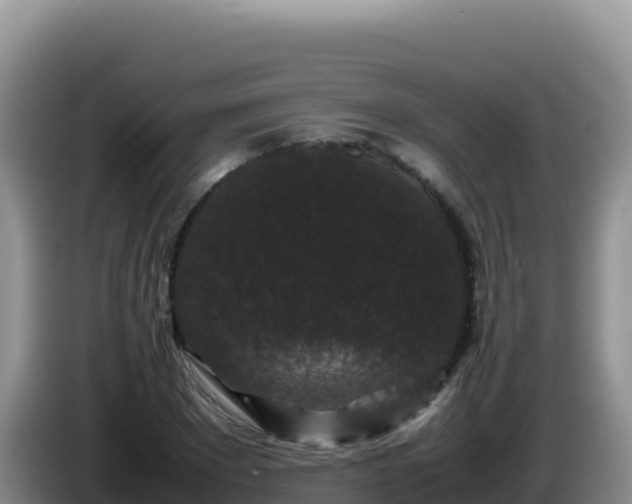X0000086260881200704051300
