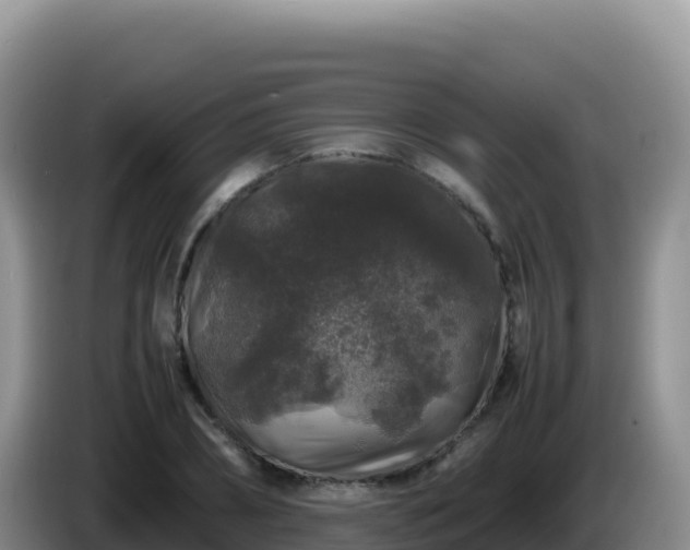 X0000086260882200704051300