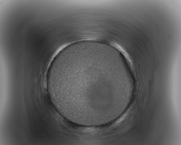 X0000086260883200704051300