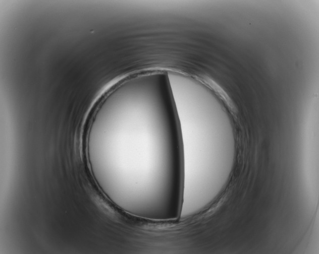 X0000086260884200704051300