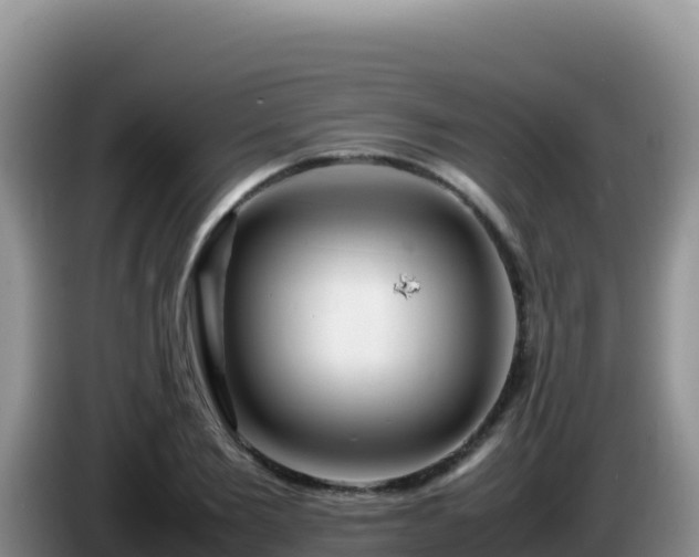 X0000086260885200704051300