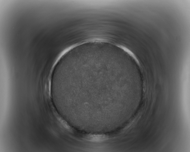 X0000086260886200704051300
