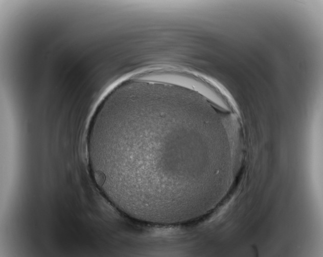 X0000086260887200704051300