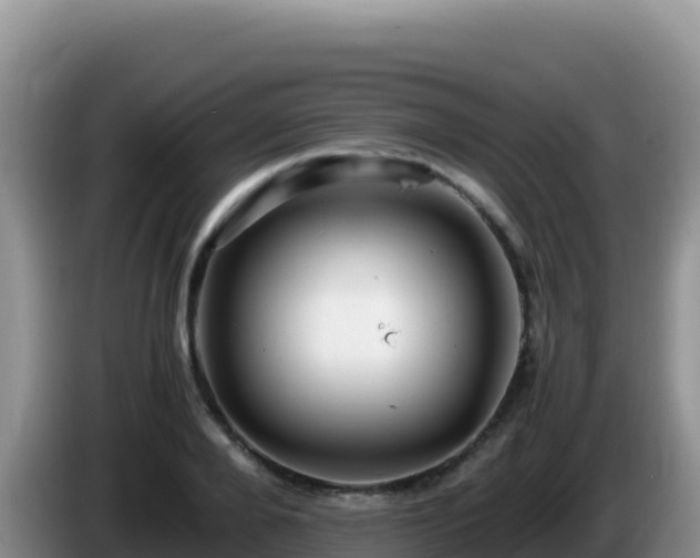 X0000086260888200704051300