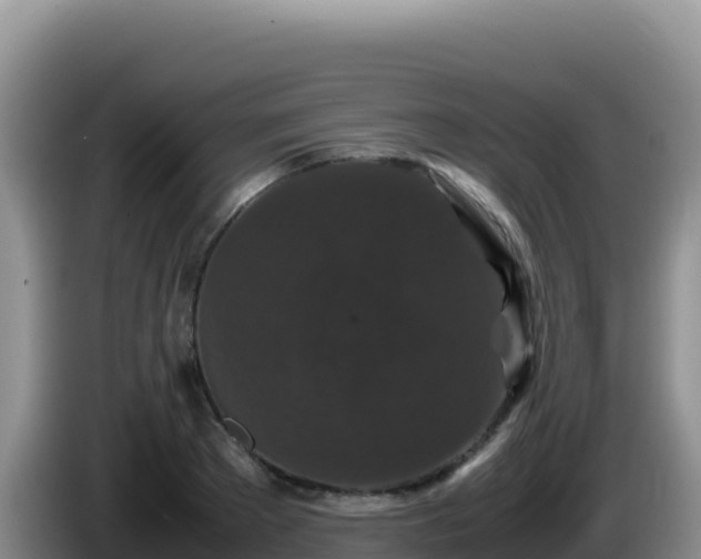 X0000086260889200704051300