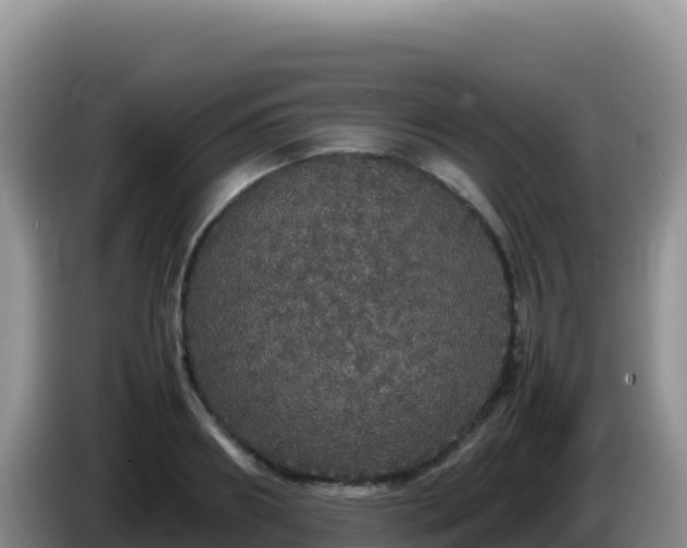 X0000086260890200704051300