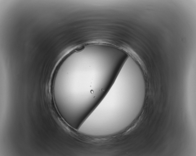 X0000086260892200704051300