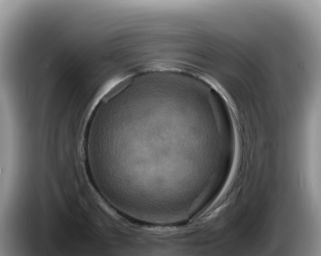 X0000086260893200704051300