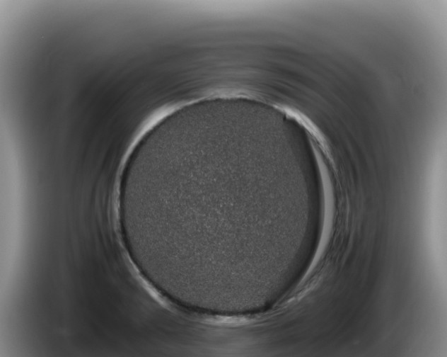 X0000086260894200704051300