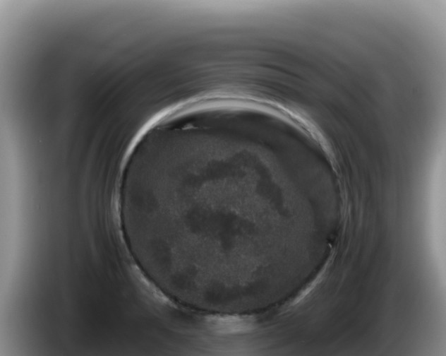 X0000086260896200704051300