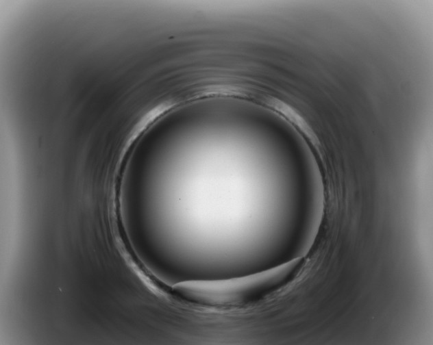 X0000086260898200704051300