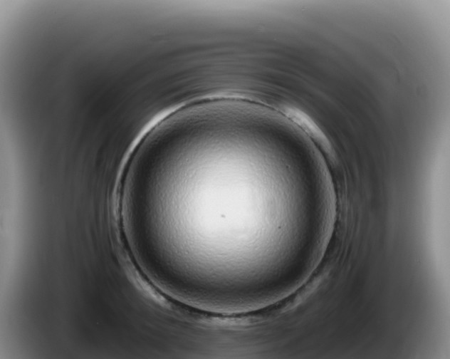 X0000086260900200704051300