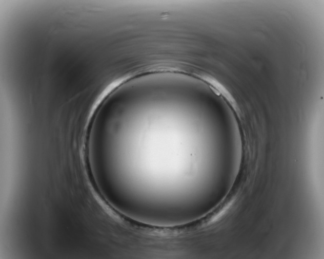X0000086260901200704051300