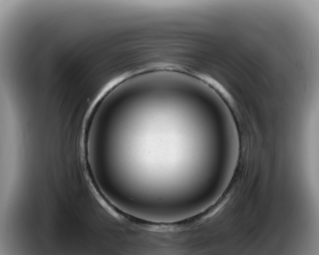 X0000086260902200704051300
