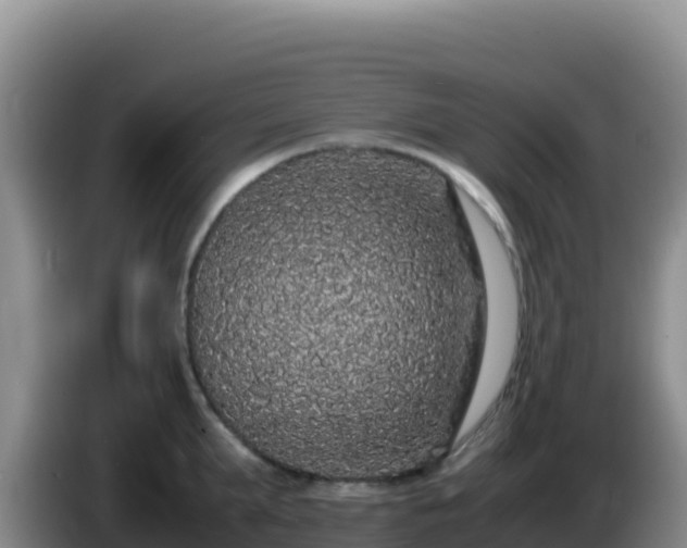 X0000086260903200704051300