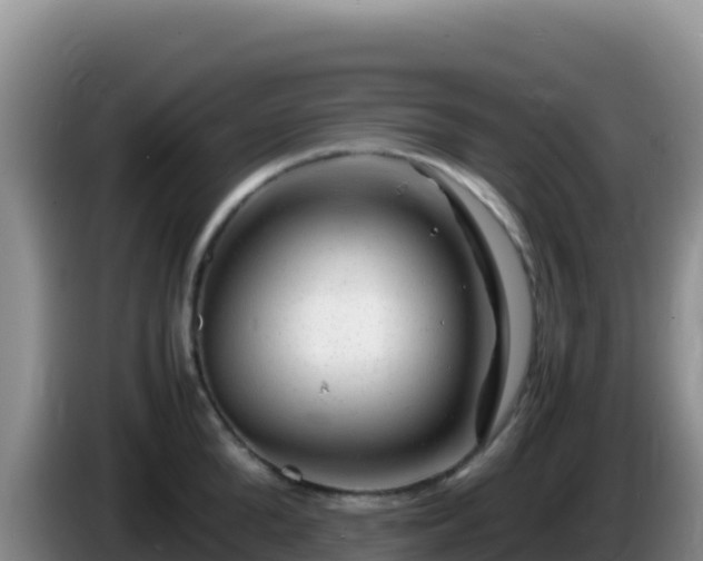 X0000086260904200704051300
