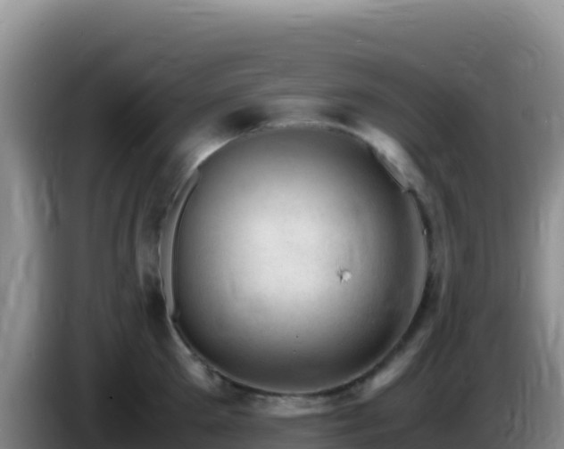 X0000086260905200704051300