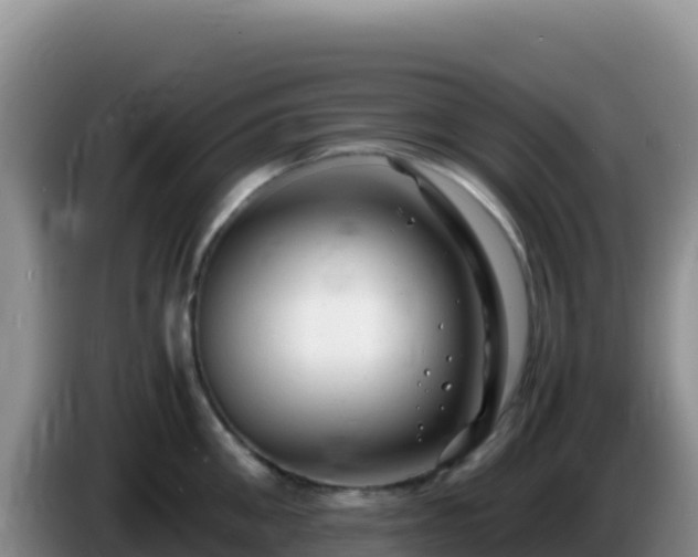 X0000086260906200704051300
