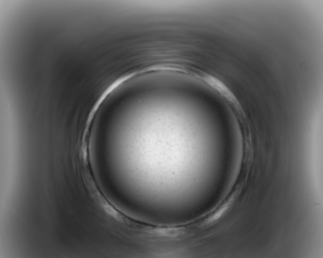 X0000086260908200704051300