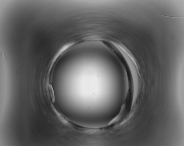 X0000086260909200704051300