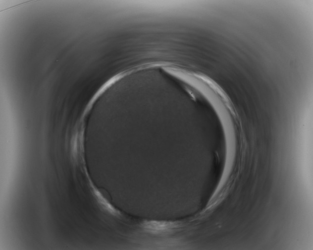 X0000086260910200704051300