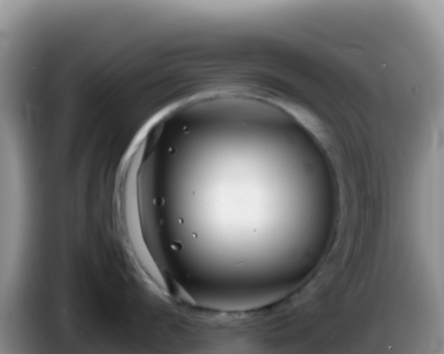 X0000086260912200704051300