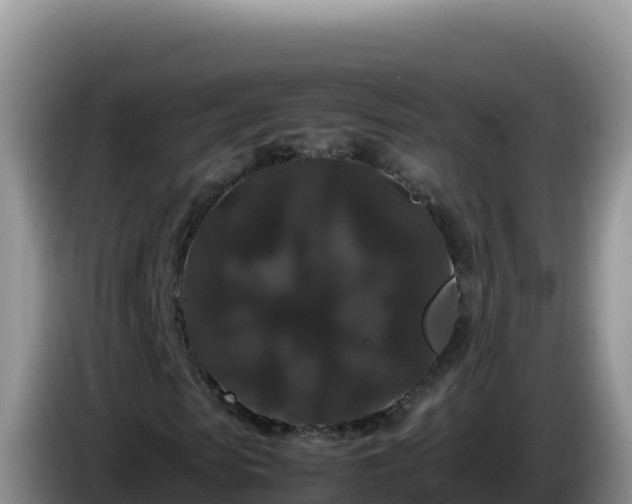X0000086260913200704051259