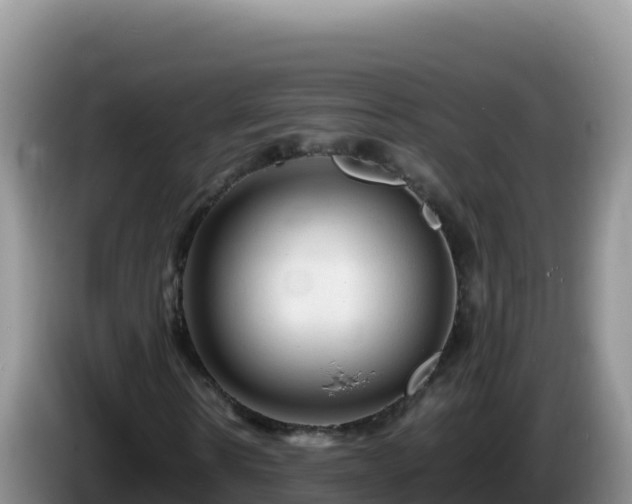 X0000086260914200704051259