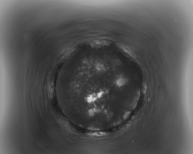 X0000086260915200704051259