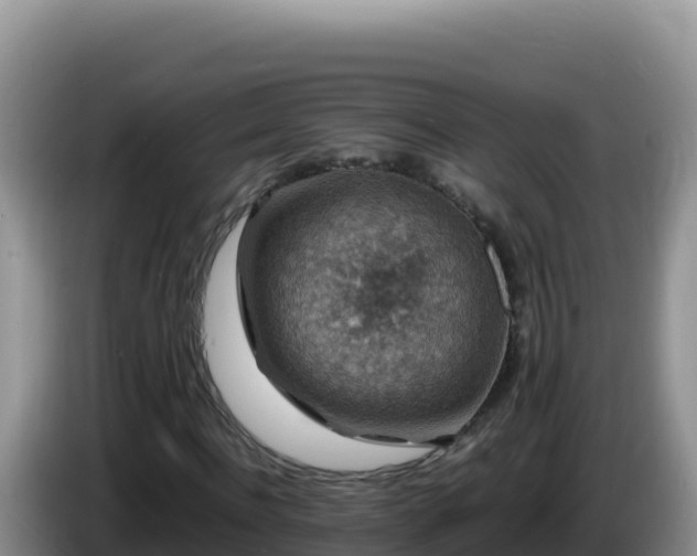X0000086260916200704051259
