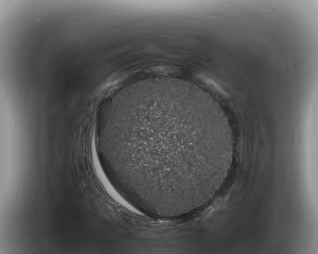 X0000086260917200704051259