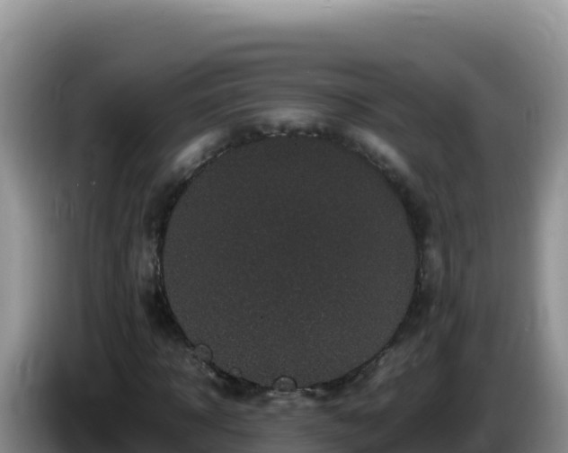 X0000086260918200704051259