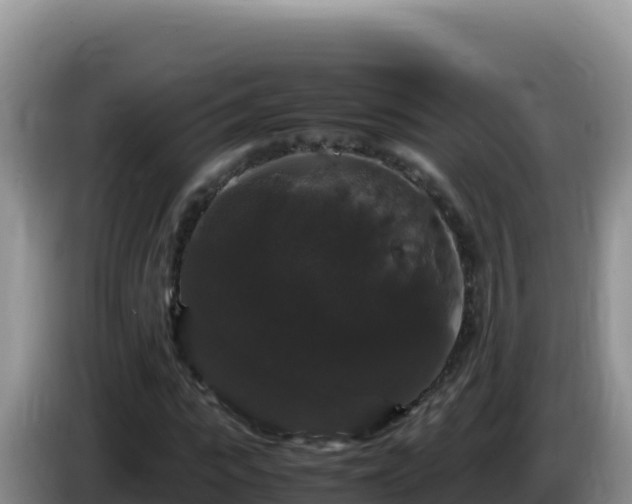 X0000086260919200704051259
