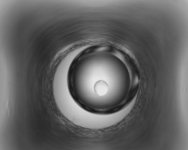 X0000086260920200704051259