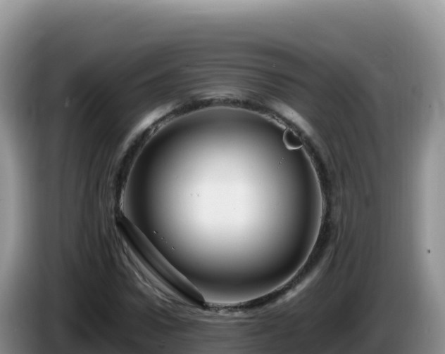 X0000086260922200704051259